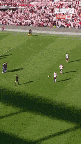 a group of people are playing soccer on a field with a large crowd watching .