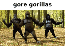 gore gorilla gorilla monkey
