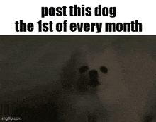 Dog Monthly GIF - Dog Monthly Essica GIFs