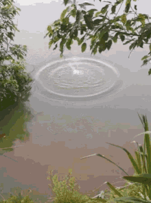Explosion River GIF - Explosion River GIFs