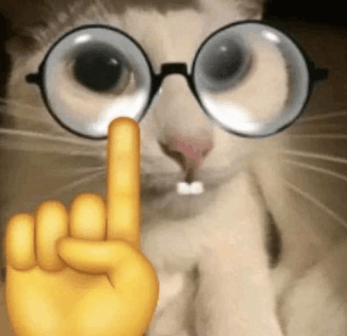 Cat Nerd Emoji Gif Cat Nerd Emoji Nerd Discover Share Gifs