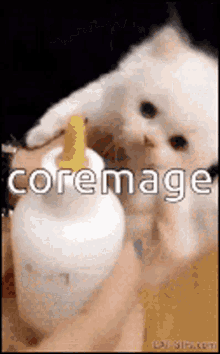 Coremage GIF - Coremage GIFs