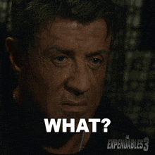 what barney ross sylvester stallone the expendables 3 what did you say
