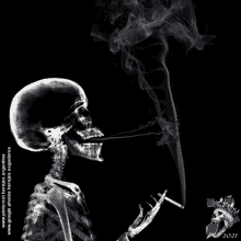 Skull Craneo GIF - Skull Craneo GIFs