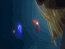 Dory Finding GIF
