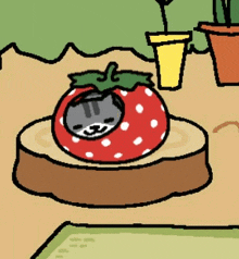 Strawberry Cat GIF