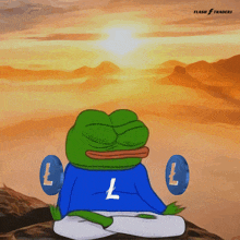 a frog with a blue shirt that says l on it