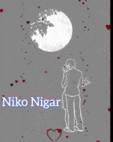 Nikonigar GIF