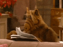 Alf Newspaper GIF - Alf Newspaper Reading GIFs