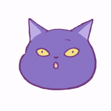 cat kitty purple cute expected