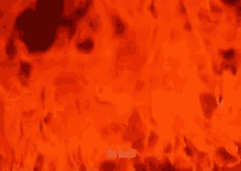 Hell Flames GIF - Hell Flames GIFs
