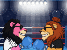 two lions wearing boxing gloves that say laffy