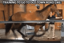 Old Town Road Horses In The Back GIF