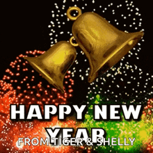 a happy new year from tiger and shelly greeting card
