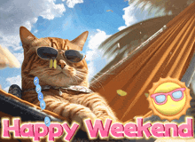 a cat wearing sunglasses is laying in a hammock with the words happy weekend