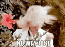 No Way Jose Absolutely Not GIF - No Way Jose Absolutely Not Never GIFs