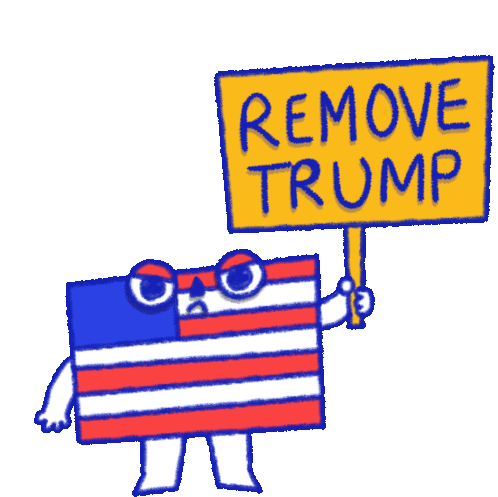 Remove Trump America Sticker - Remove Trump America American Flag Stickers