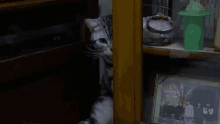 a cat peeking out from behind a glass door next to a picture of a family