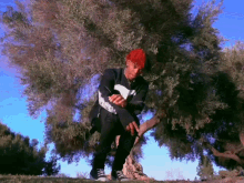 a man in a red hat is kneeling down next to a tree