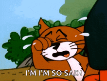 a cartoon cat is crying with the words i 'm i 'm so sad