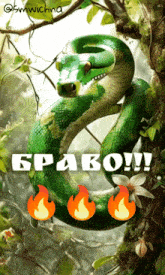 a drawing of a green snake with the words bravo on the bottom