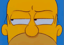 Homer GIF - Suspicious Fishy Whats Going On GIFs