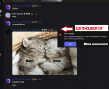 a screenshot of a chat with two kittens named dani