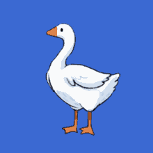 Goose Gooses GIF - Goose Goos Gooses GIFs