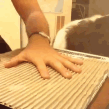 This Is Gonna Get Ugly... GIF - Dog Knife Game GIFs