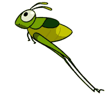 Jumping Grasshopper - Grasshopper GIF - Grasshopper Jumping Grasshopper Little Grasshopper GIFs
