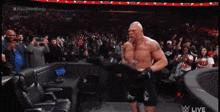 Wwe Brock Lesnar Attack Cody Rhodes GIF - Wwe Brock Lesnar Attack Cody Rhodes GIFs