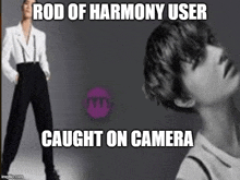Rod Of Harmony GIF - Rod Of Harmony GIFs