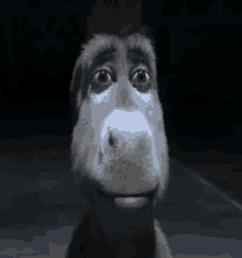Whiteskin Stare Donkey GIF - Whiteskin Stare Donkey GIFs