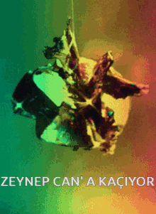 Zeynep Zeynep Can GIF - Zeynep Zeynep Can Zeynep Can A Kaçıyor GIFs