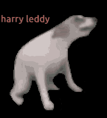 a pixelated image of a dog with the name harry leddy written above it