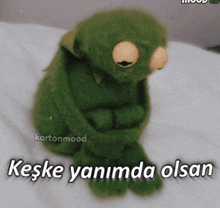 a picture of a kermit the frog with a caption that says " keske yanımda olsun "