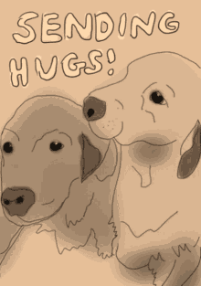 dog dogs hug hugs hugs and love