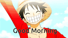 Luffy One Piece GIF
