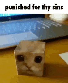 Thy Sins Crushed GIF - Thy Sins Crushed Cat Cube GIFs