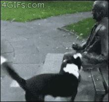 Sir, You'Re Not Throwing It Correclty GIF - Fetch Dogs Statue GIFs