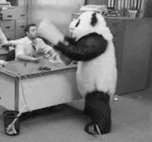 Angry Panda Smash GIF - Angry Panda Smash Pc GIFs
