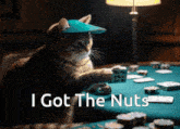 a cat playing poker with the words i got the nuts written below it