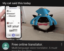 a picture of a cat with a blue octopus on its head and the words " my cat said this today kill your self "