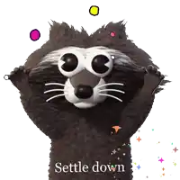 a cartoon raccoon says " settle down " on the bottom