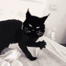 a black cat is laying on a bed with a white blanket