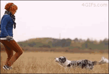 Dogs Animals GIF - Dogs Animals Awesome GIFs