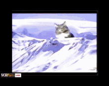 Found Footage Festival Vcr Party Live GIF - Found Footage Festival Vcr Party Live Vcr Party GIFs