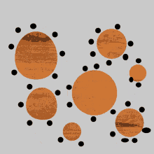 the number 0 is surrounded by black dots on a brown background