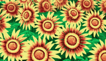 Sunflora Sunflower GIF