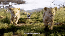 The Lion King Simba GIF - The Lion King Simba Ive Tried It Once GIFs